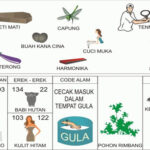 NOMOR EREK EREK 22 DI BUKU MIMPI 2D TERLENGKAP