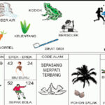 NOMOR EREK EREK 24 DI BUKU MIMPI 2D TERLENGKAP