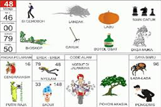 NOMOR EREK EREK 48 DI BUKU MIMPI 2D TERLENGKAP