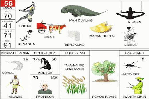 NOMOR EREK EREK 56 DI BUKU MIMPI 2D TERLENGKAP