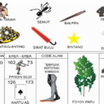 NOMOR EREK EREK 73 DI BUKU MIMPI 2D TERLENGKAP